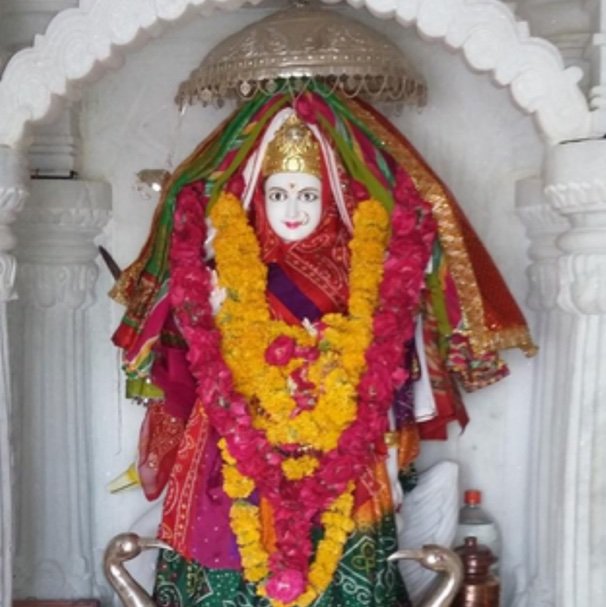 DKayakayakaya's profile picture. 