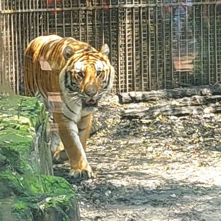 Ivanmelchor81's profile picture. 