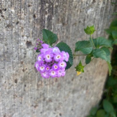 QdxD7IGD1c55479's profile picture. 