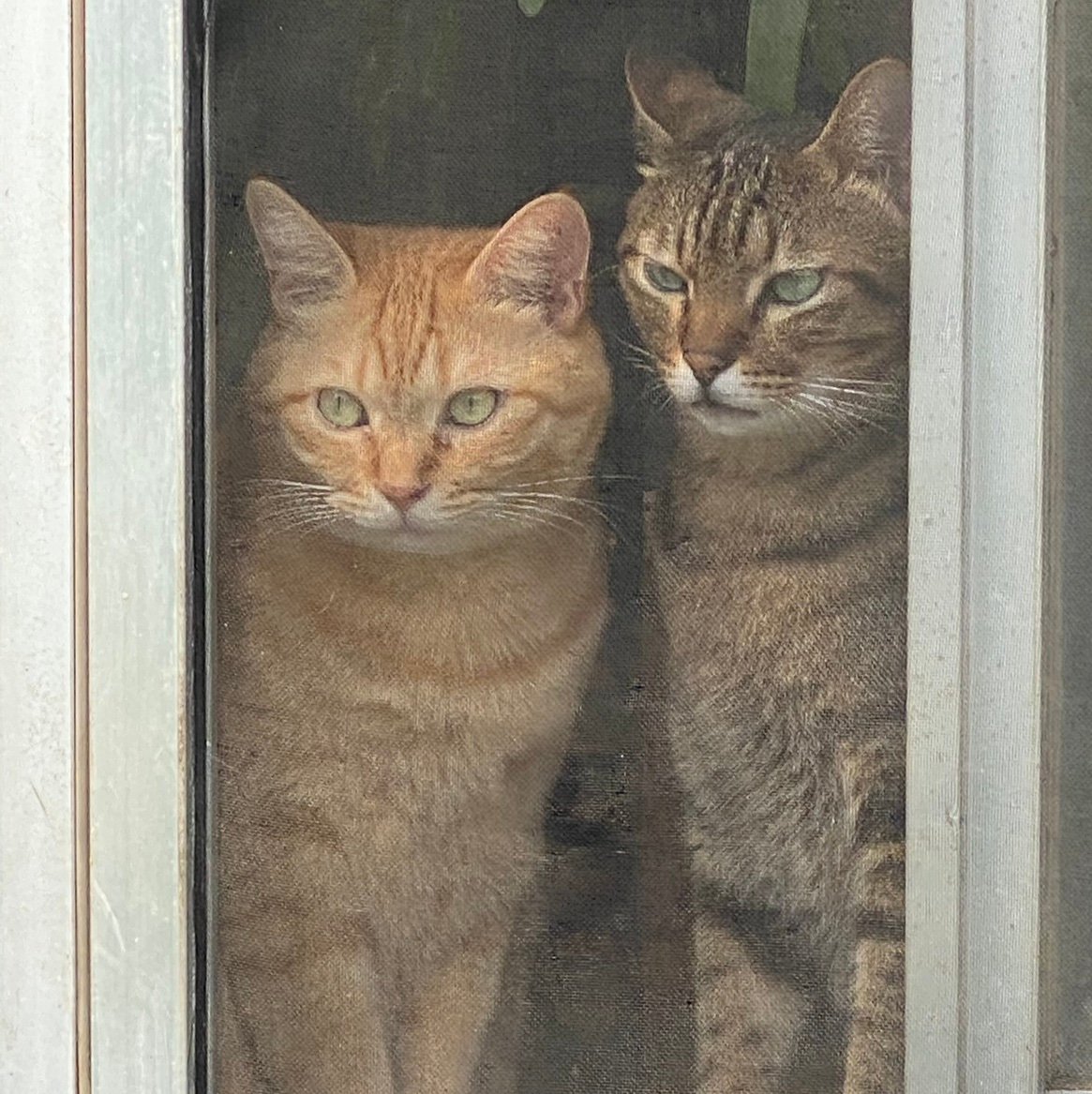 mnnkstudio's profile picture. 