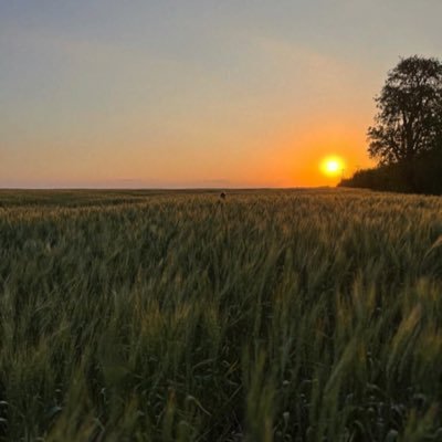 0xmdh's profile picture. Co-founder @wakeuplabs