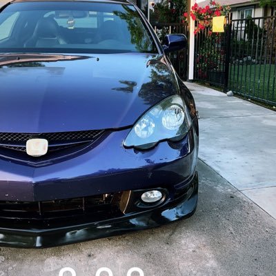 gusmoncho's profile picture. 