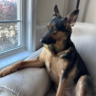 EricGri11189395's profile picture. 