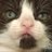 DanieKitsch's profile image
