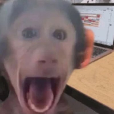 qxuinnx's profile picture. oh