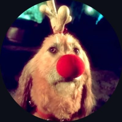 kahssvi's profile picture. Nunca estamos atrasados para aquilo que é nosso.