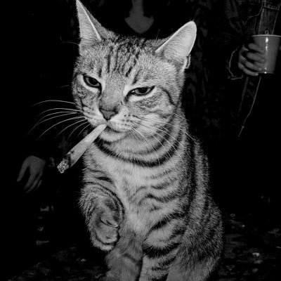 BankxCod's profile picture. 21 | Highest in the room | @aventlygg