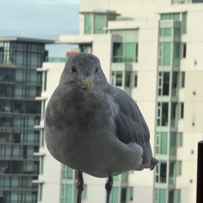 tresormatala's profile picture. “Low cost housing in rural area”my hobby . Always put God forward.