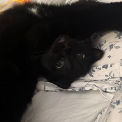 Abby49843732182's profile picture. 