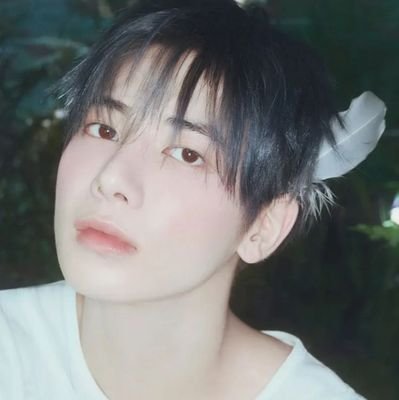 seungfarts's profile picture. I'll break your bones with all the love i carry  ,  (≧◡≦)