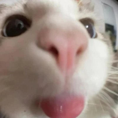 alexfrm_sj's profile picture. 