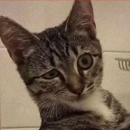 DuDu872510's profile picture. Well... I like to draw and...I think that's all🤔

haii :}