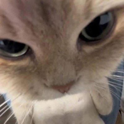 jiwoongs_nuna's profile picture. forever #GDRAGON and #KIMJIWOONG