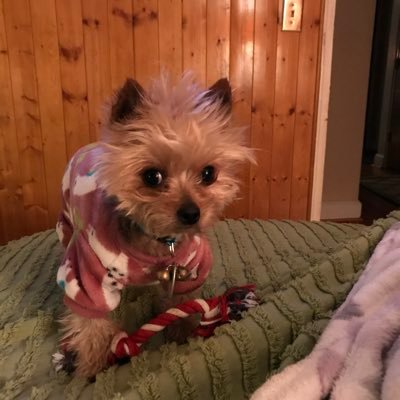 Suninedeb1956's profile picture. 