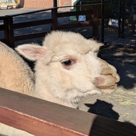 vEJvVhb2UdNdhcO's profile picture. 好きな音楽→SUM41、blink182、THE OFFSPRING