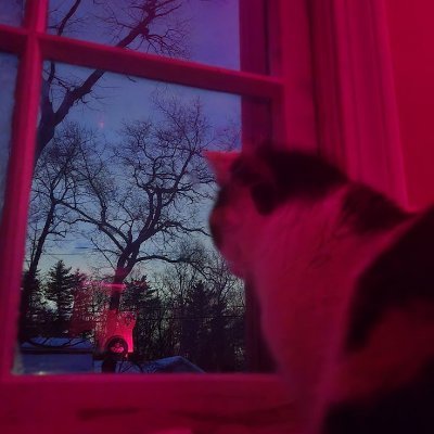 crumblyjumbly's profile picture. 20, she/they
multifandom