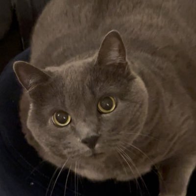 skt_n's profile picture. 作曲家／近況→パリにて個展、ラジオフランスから新作委嘱、香港と中国で管弦楽曲の再演、他に合唱や独奏曲、コントラバスとエレクトロなど色々／尾高賞、武満徹作曲賞、芥川作曲賞など受賞多数／名フィルのレジデンスを経るなど、これまでに12作以上の管弦楽曲を発表／Scala MusicなどのレーベルからCDがリリース／けん玉