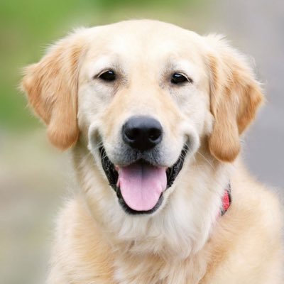 Bagio590's profile picture. 