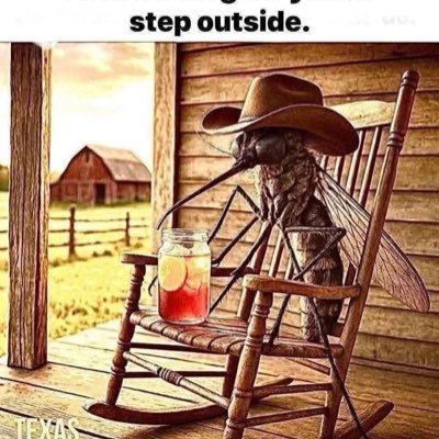 SteveEvans9evu's profile picture. Live Free or Die 💪