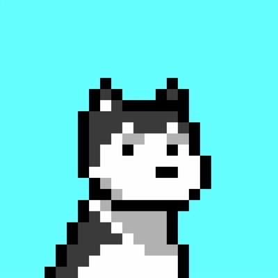 SolMetaX's profile picture. Doginal Dog Community!