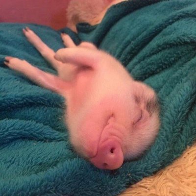 Makavlr's profile picture. ª