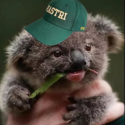 tyson_tkm's profile picture. 