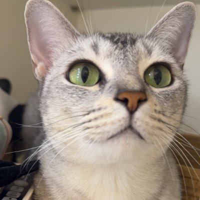 pond_piyawat's profile picture. 175/63 | KR-TH