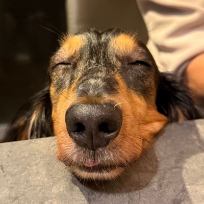 john_ng_p's profile picture. Co-founder of @signum_capital. Views and opinions are my own.