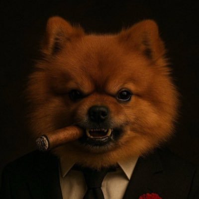 KeepingUpWithMH's profile picture. Started from the bottom. it ain’t talent, it’s the hustle that’s gonna take me far.