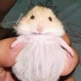 ratona_del_mal's profile picture. 