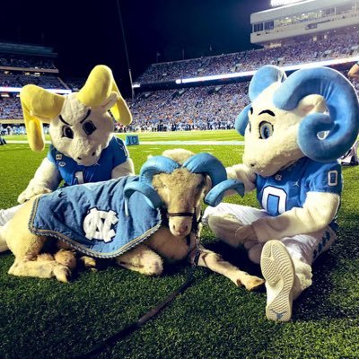 RamesesTuff's profile picture. @Unc_basketball @uncfootball @panthers #KeepPounding @ChicagoBulls |carti Ken Carson destroy lonely yb Enthusiast|