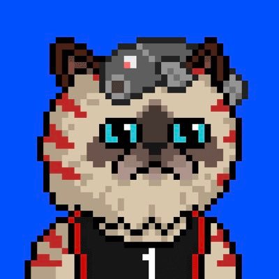 MrCatFi's profile picture. JUST BUY EVERY SINGLE COIN STUPID!!! 🧢🐸 $XRP $HBAR $AERO $VIRTUAL $TROLL