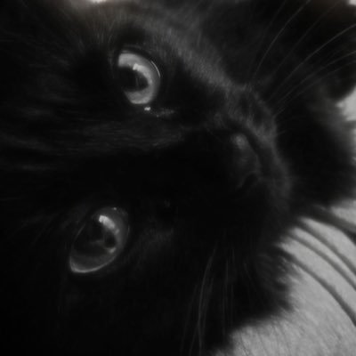 unthryft's profile picture. twenty-four. i play games. nsfwdni mdni. @unthryfted ⠀ ♡ ཐི ₍ᐢ. ̞.ᐢ₎ ཋྀ