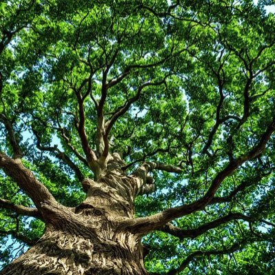 _jolleyjojo's profile picture. 