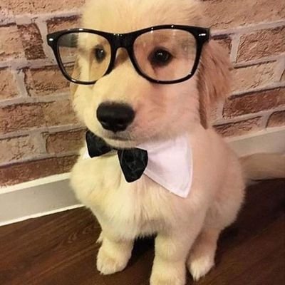 DiegoEraso84064's profile picture. 