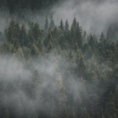 safe_dee_'s profile picture. .