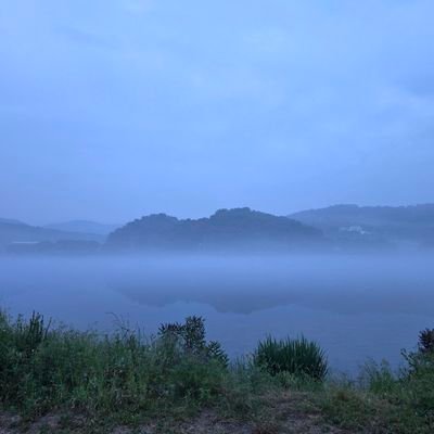 trout0205's profile picture. 무지개 송어를 키우며, 일론머스크를 동경하고
세상을 알고픈 사람