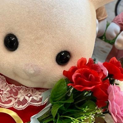 imonurright's profile picture. ゆるオタ壁🙇🏻🍓