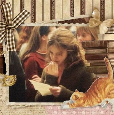 lovlylynk's profile picture. 9¾ |

fiel feito gavião.