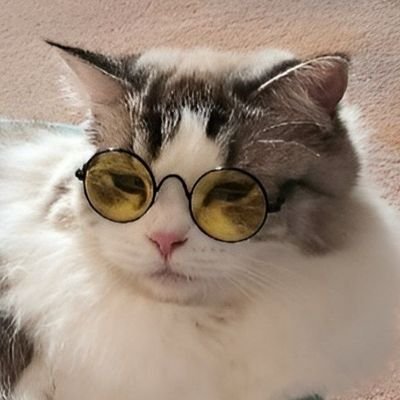 jaemries's profile picture. —⁠ waiting for njm1 and pjs1 • 햄앤햄즈 ☆