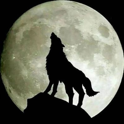 zhengyi_lz's profile picture. 