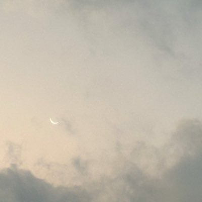 sarara_to's profile picture. 写真/記録