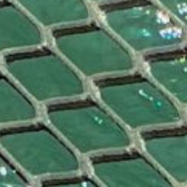 BlackboyTee_12's profile picture. Chilled son