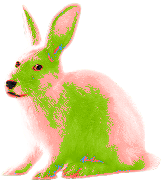 sirburns_'s profile picture. 