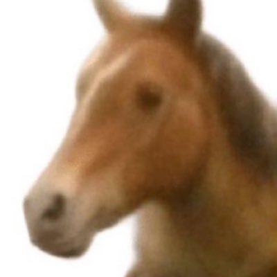 Z6zN8SweMJ11747's profile picture. 