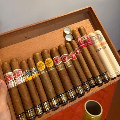 ChrisWZShi's profile picture. Trader