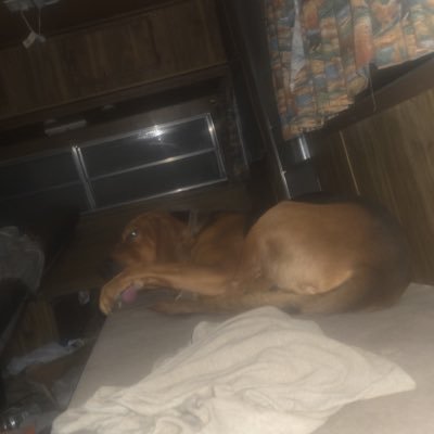 Bradlyn272931's profile picture. 