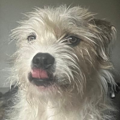 Mirrus79's profile picture. .