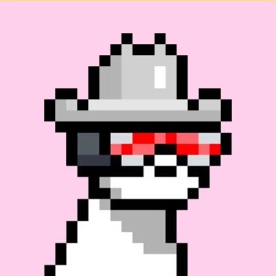 orderup's profile picture. God | Digital Artist | CSN Content Creator @doginaldogs