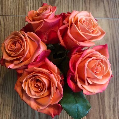 ABeth6226's profile picture. Peace, Love, Equality, Respect